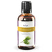 Cedarwood Essential Oil (Organic)