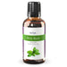 Holy Basil Essential Oil (Organic)