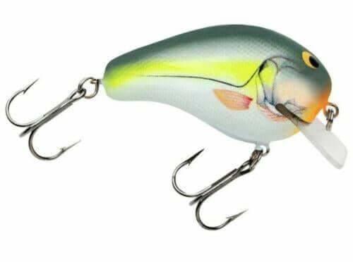 Bagley Balsa B1 - Sexy Shad - 5/16 oz - 2" Fishing Lure