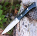 Bark River Knives Aurora Fixed 4.75" A2 Knife Black