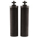 Black Berkey Replacement Elements BF2 (Set of 2)