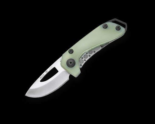 Buck Budgie Compact Folding Knife 2" S35VN 417GRS