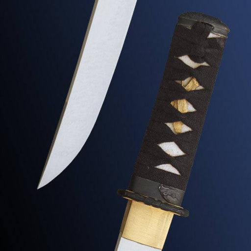 Raptor Tanto by Paul Chen / Hanwei (Samurai Swords)