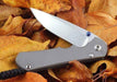 Chris Reeve Large Inkosi Folding Knife 3.6" S45VN