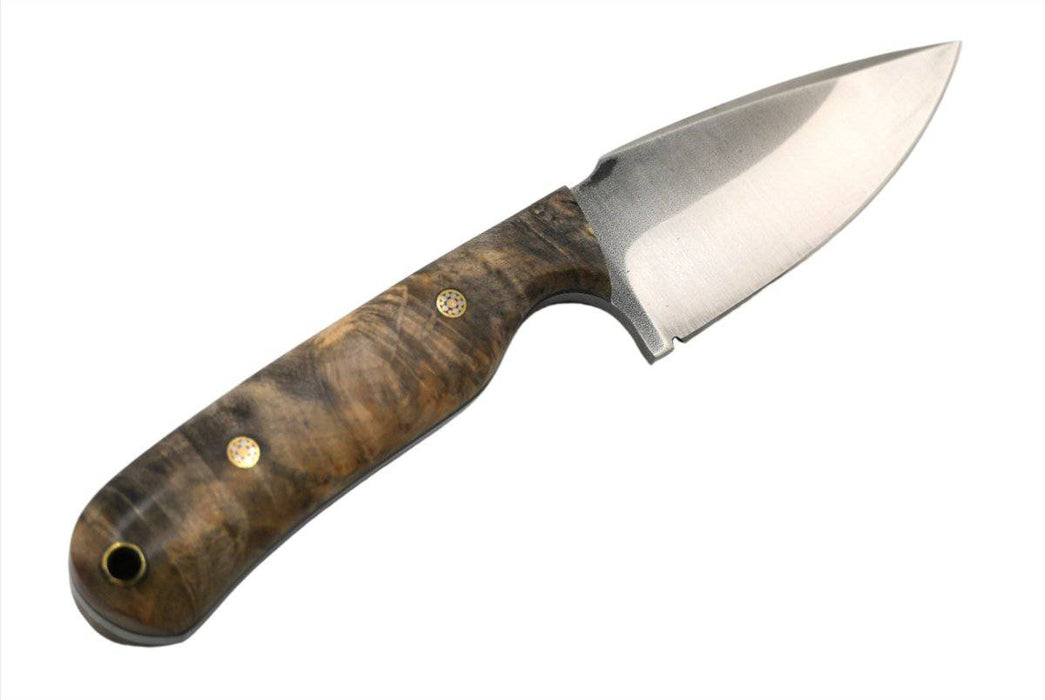 CUR Custom Shrike EDC Fixed Blade Knife 3.25" California Buckeye Scales Mosaic Pins