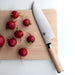 Shun Classic Blonde Santoku 7" - NORTH RIVER OUTDOORS