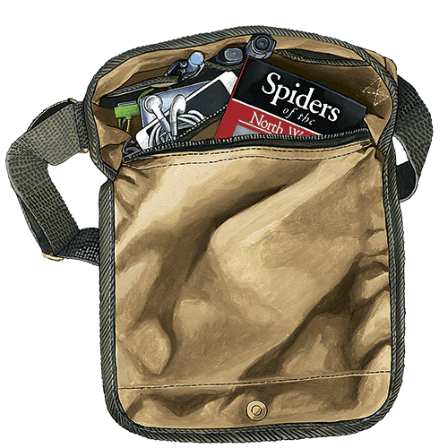 Frost River Saganaga Travel Satchel (USA)