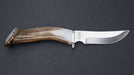 Silver Stag Mountain Edge Crown Handle D2 Fixed Blade Knife - NORTH RIVER OUTDOORS