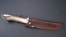 Silver Stag Pacific Bowie Crown Handle D2 Fixed Blade Knife - NORTH RIVER OUTDOORS