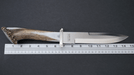 Silver Stag Pacific Bowie Crown Handle D2 Fixed Blade Knife - NORTH RIVER OUTDOORS