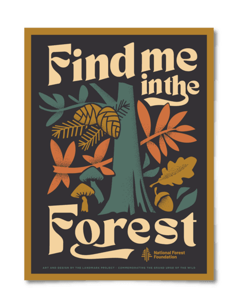 Find Me in the Forest Poster