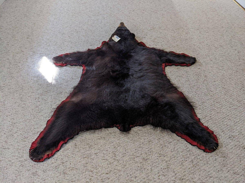 Authentic Black Bear Rug