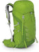 Osprey TALON 33 Hiking Pack