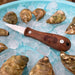 Limited Edition Professional Wooden Handle Oyster Shucking Knife