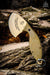 TOPS Backwoods Skinner SKIN-01 Fixed 3" Coyote Tan Blade Gut Hook OD Green Micarta Handles